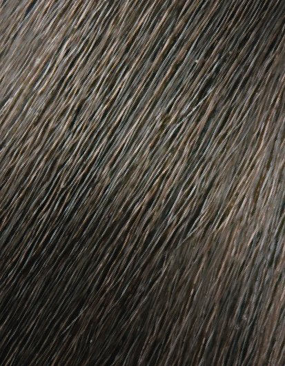 WonderColor Shade 4.0